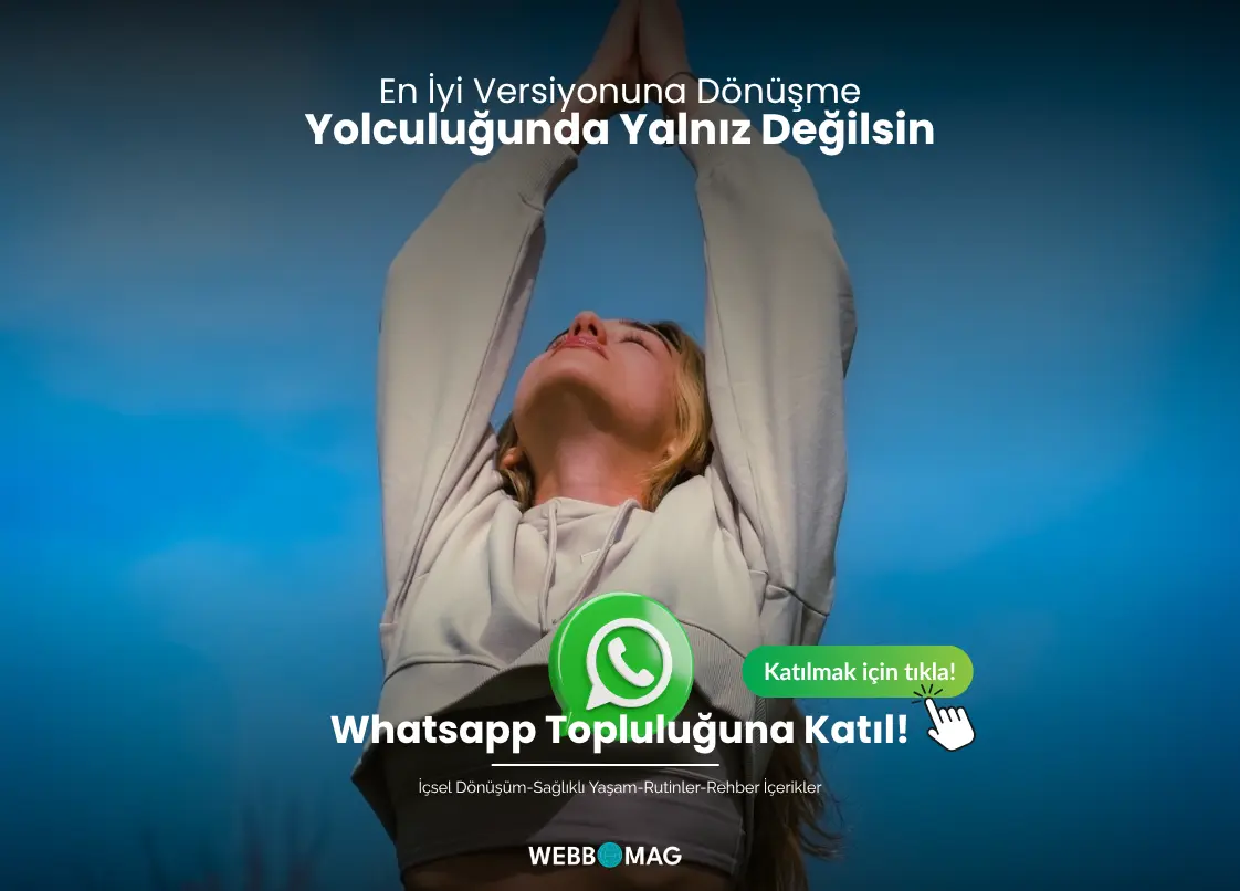 WEBBMAG